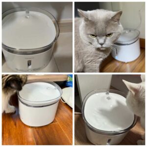 霍曼三代貓咪飲水機